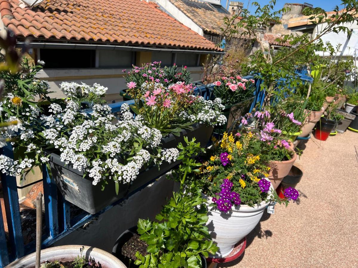 Loft Apartment , La Terrasse Centre Ville D'Arles, 外观 照片